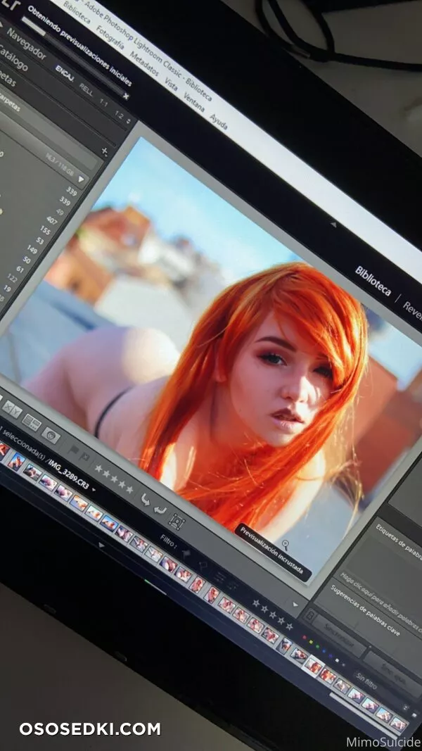 Mimorgue - Kim Possible - 26