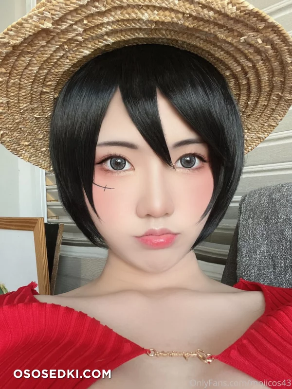 Moiicos - Monkey D. Luffy - One Piece - 8