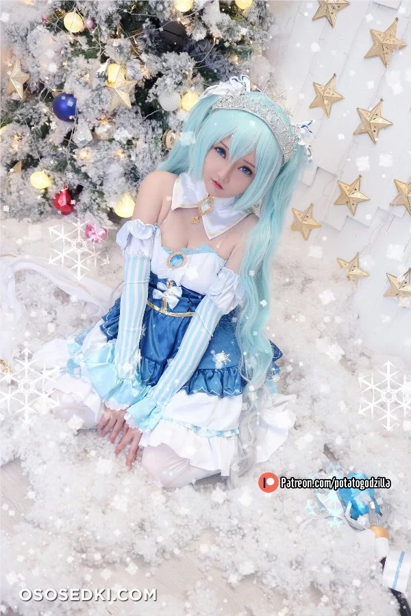 Potato Godzilla NO.026 Snow Miku 1 - 18