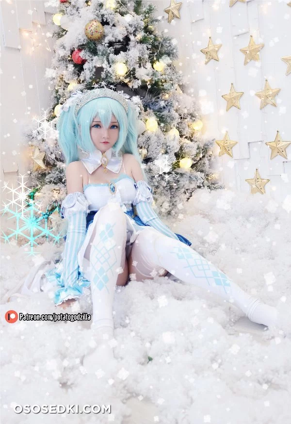 Potato Godzilla NO.026 Snow Miku 1 - 22