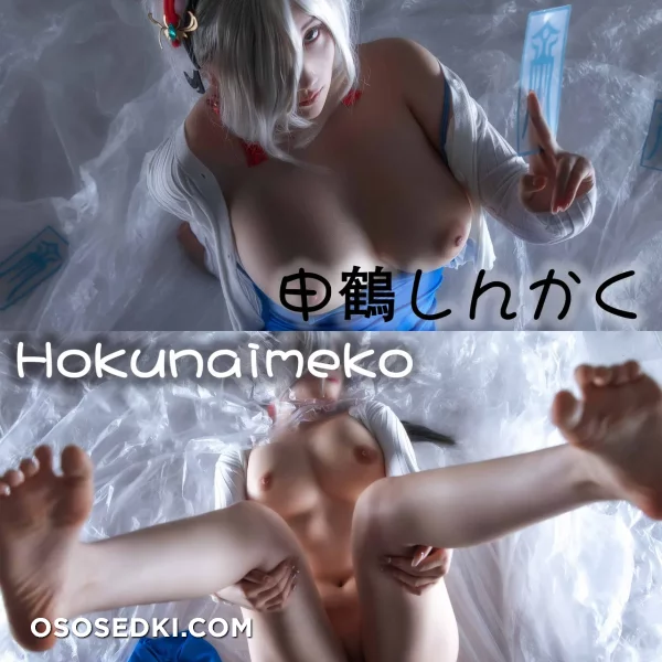 Hokunaimeko - Shenhe - Genshin Impact - 1
