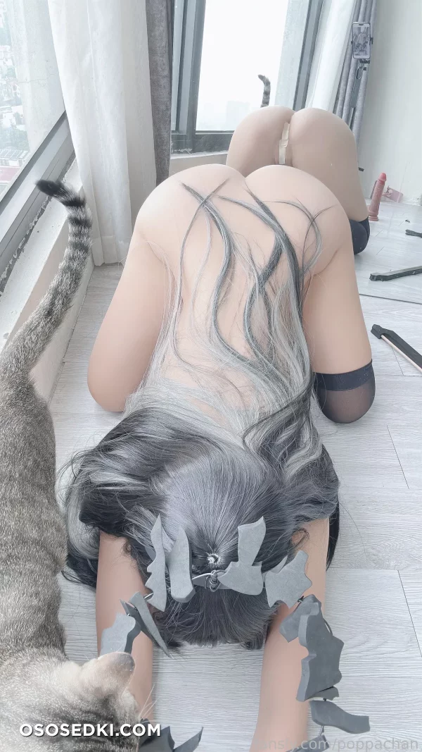 Poppachan - Virtuosa - Arknights - 36