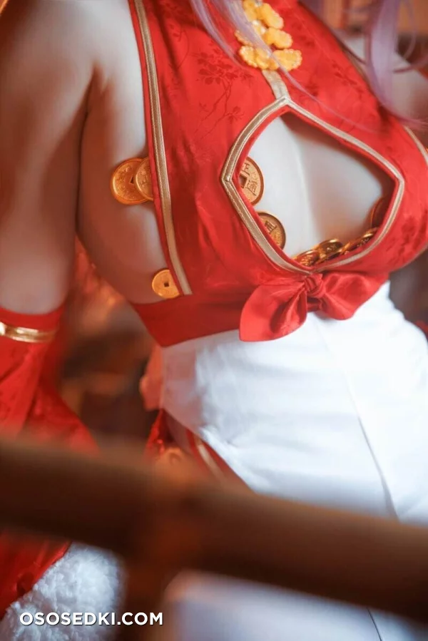 Rissoft344 - Honoka Qipao - 5