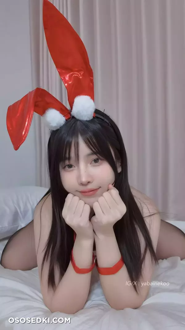 Menruinyanko - Red Bunny - 18