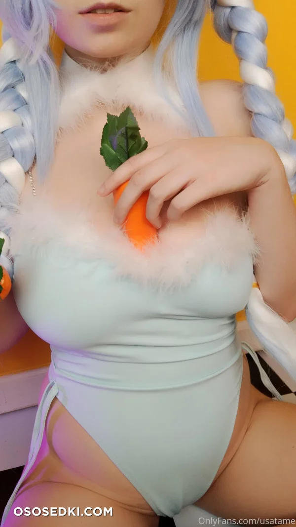 Usatame - Usada Pekora - Hololive - 11