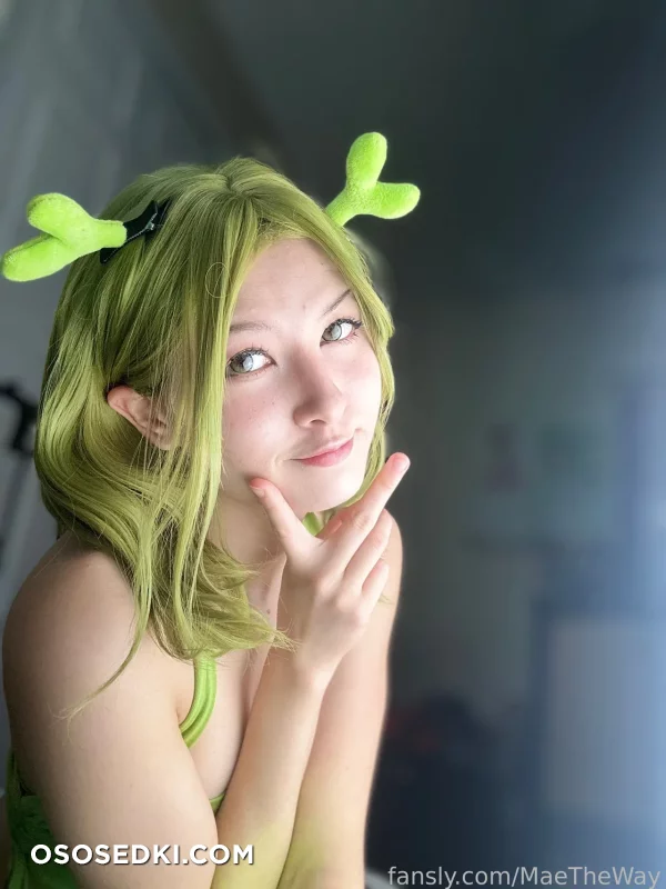 Mae The Way - Shrek - Shrek - 19
