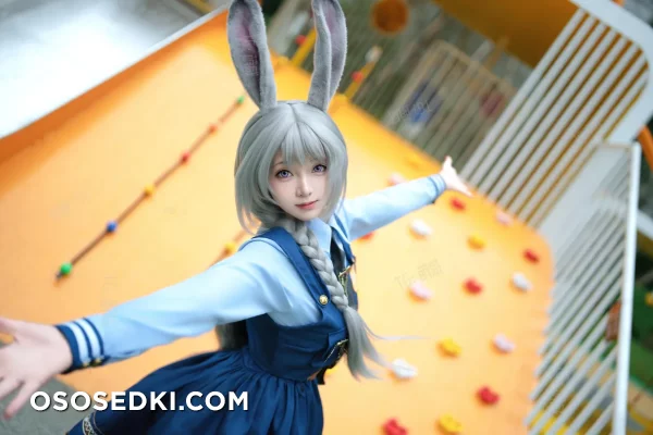 Bangni邦尼: 兔子警官 - Judy Hopps - Zootopia - 10