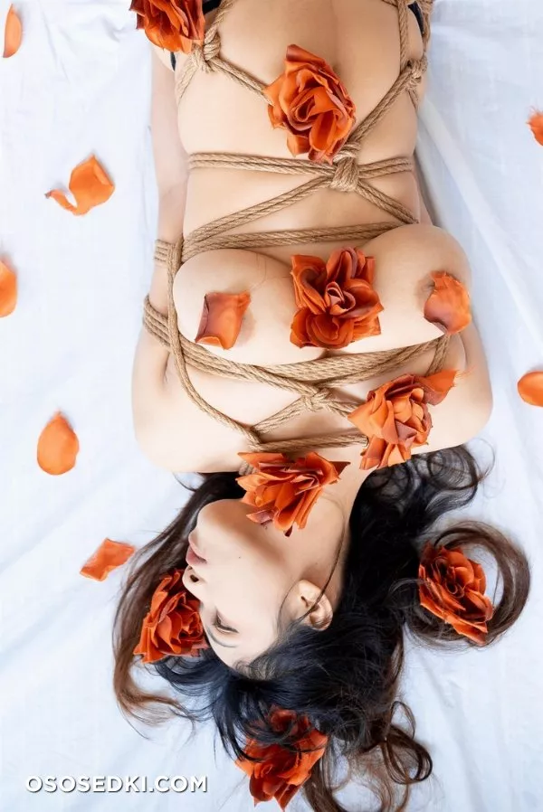 RoseMelle - Rose x Rope - 1