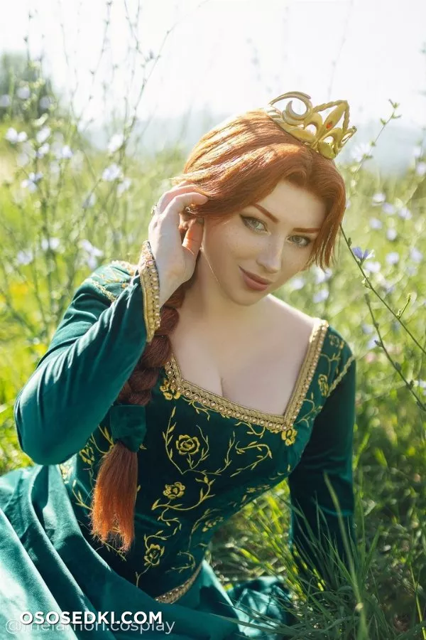 Fiona || Shrek - 7