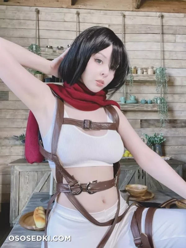 Disharmonica - Mikasa Ackerman (Attack on Titan) - 33