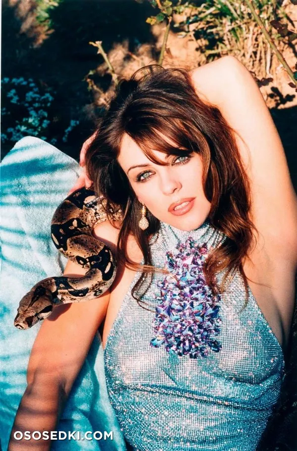 Элизабет Херли голая - фото Elizabeth Hurley - 8